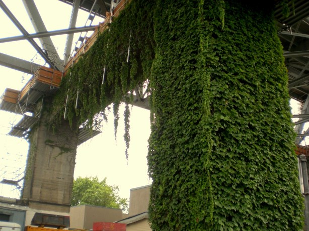 Photo taken by Andrea Lai, 2013. All rights reserved.