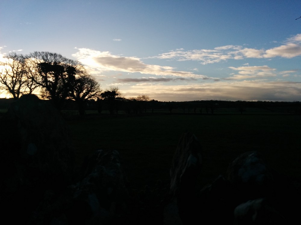 fields by monasterboice