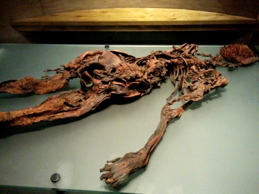 bog people national museum of ireland archaeology